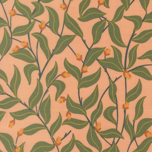 Peachy by Jessica Rose : Berry Good Peach 38154 13