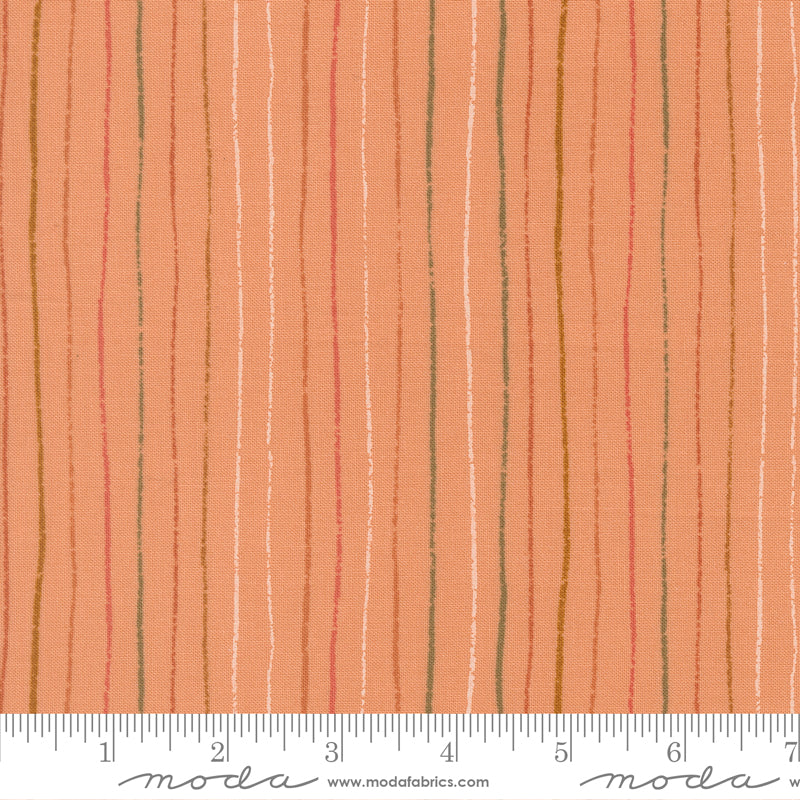 Peachy by Jessica Rose : Chalky Lines Peach 38155 13