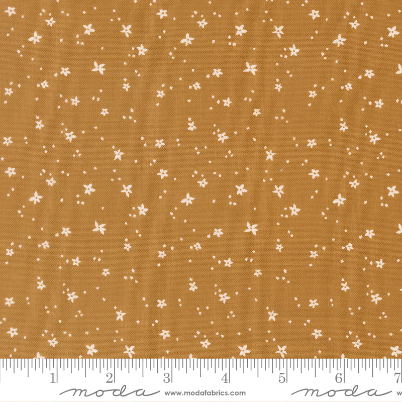 Peachy by Jessica Rose : Peach Blossom Honey 38159 20