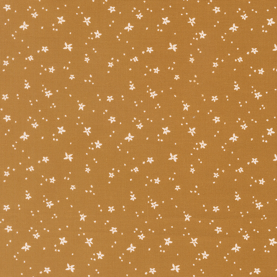 Peachy by Jessica Rose : Peach Blossom Honey 38159 20