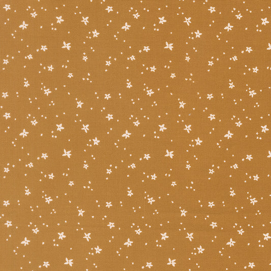 Peachy by Jessica Rose : Peach Blossom Honey 38159 20