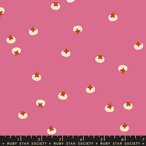 Persimmon by Rashida Coleman-Hale : Persimmons Hibiscus RS1120 13