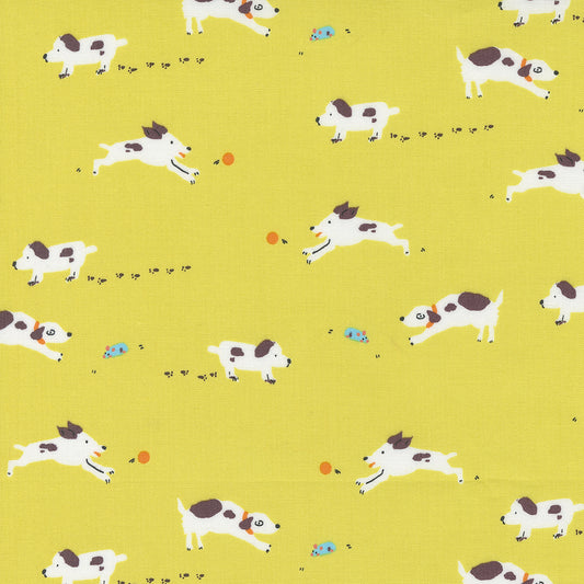 Pips by Aneela Hoey - Pips Puppy Dogs Tails Lemon Fizz 24592 12