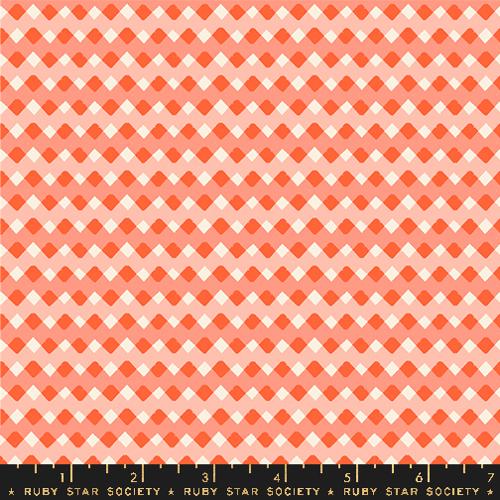 Pivot by Rashida Coleman Hale : Zigga Zagga Florida RS1077 13