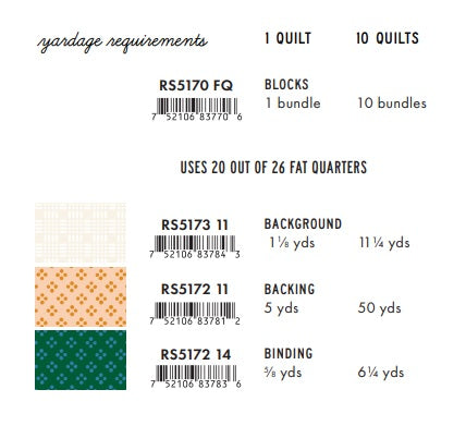 Geometry by Ruby Star Society - The Mini Plaid-ish Quilt Kit (Estimated Arrival August 2025)