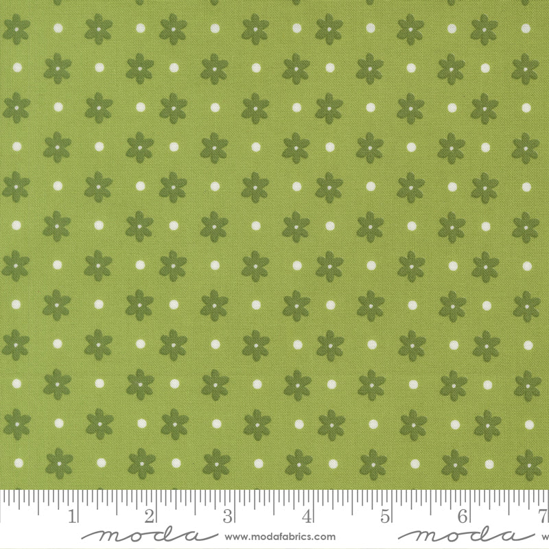 Poinsettia & Pear by Sherri & Chelsi : Daisy Dot Fresh Grass 37713 13