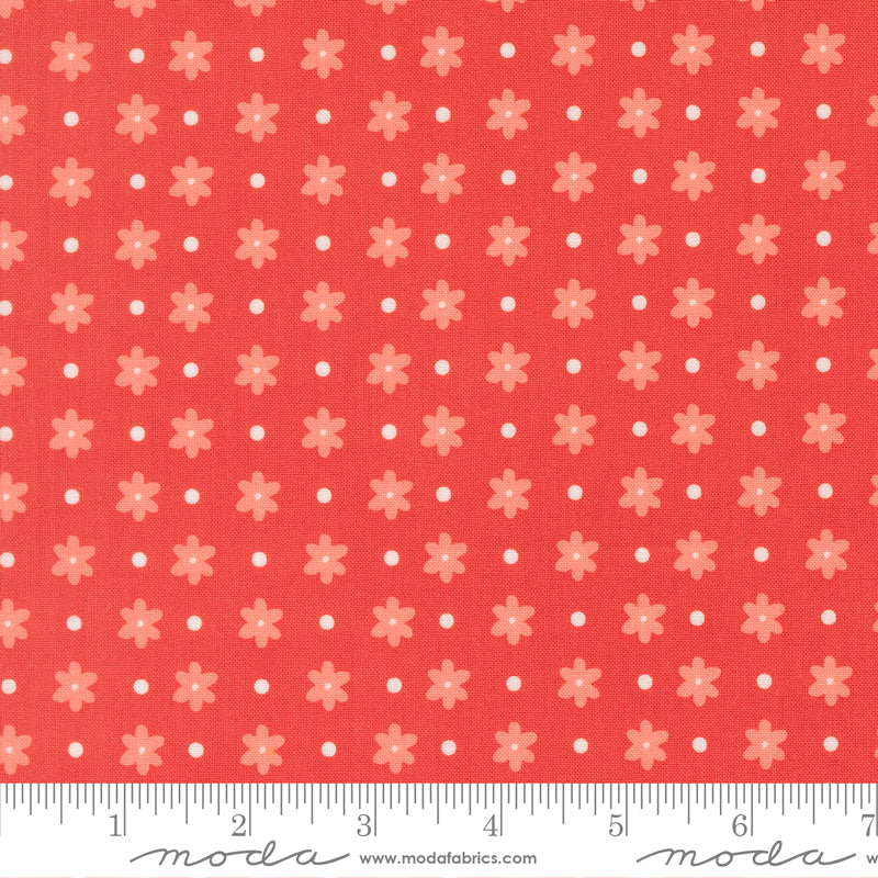 Poinsettia & Pear by Sherri & Chelsi : Daisy Dot Geranium 37713 16