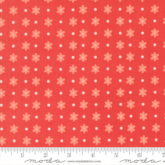 Poinsettia & Pear by Sherri & Chelsi : Daisy Dot Geranium 37713 16