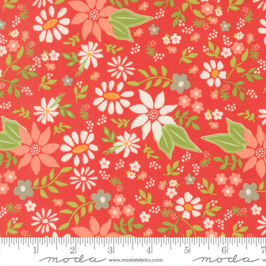 Poinsettia & Pear by Sherri & Chelsi : Poinsettia Florals Geranium 37710 16