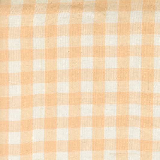 Popcorn Wovens by Elizabeth Hartman - Checks and Plaids Blush 51285 21