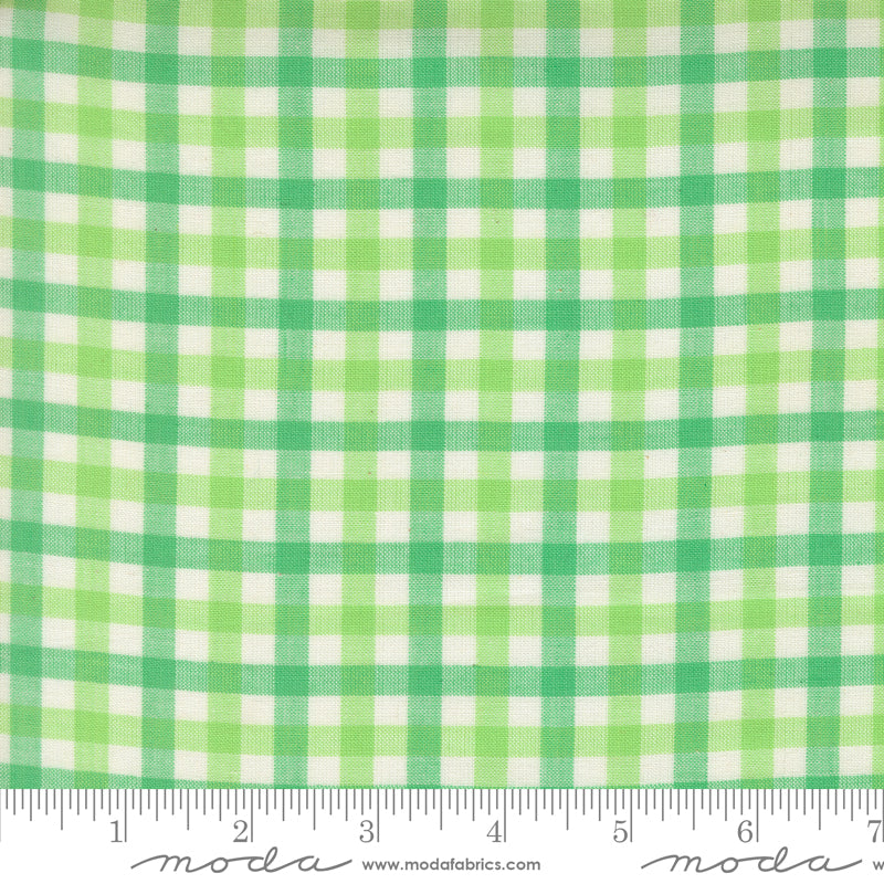 Popcorn Wovens by Elizabeth Hartman - Checks and Plaids Mint 51285 13