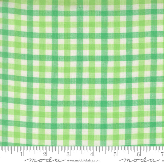 Popcorn Wovens by Elizabeth Hartman - Checks and Plaids Mint 51285 13