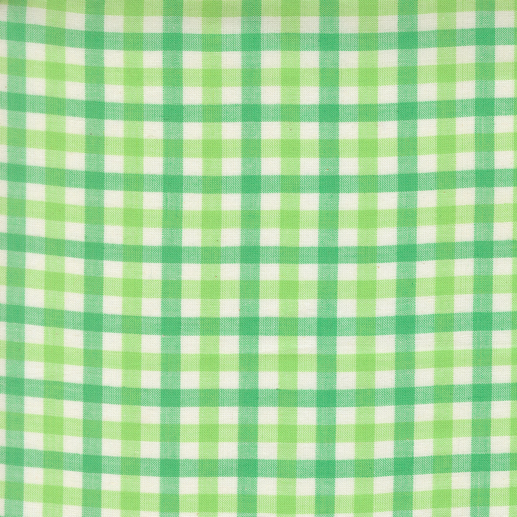 Popcorn Wovens by Elizabeth Hartman - Checks and Plaids Mint 51285 13