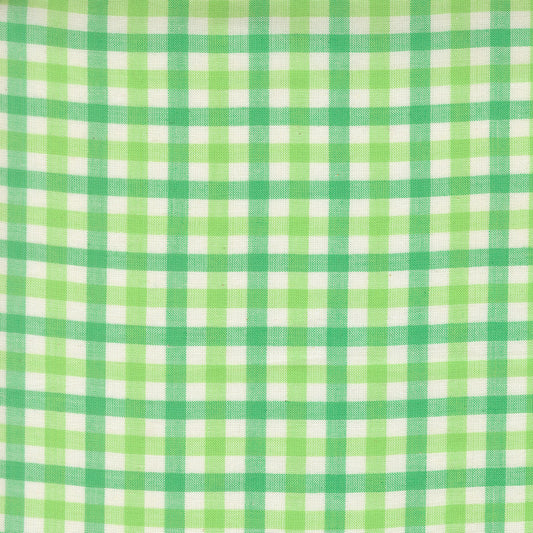 Popcorn Wovens by Elizabeth Hartman - Checks and Plaids Mint 51285 13