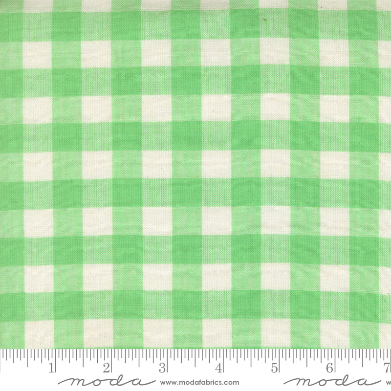 Popcorn Wovens by Elizabeth Hartman - Checks and Plaids Mint 51285 14