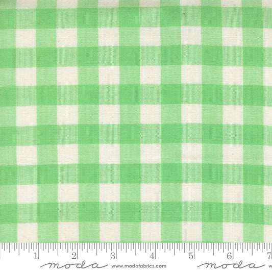 Popcorn Wovens by Elizabeth Hartman - Checks and Plaids Mint 51285 14