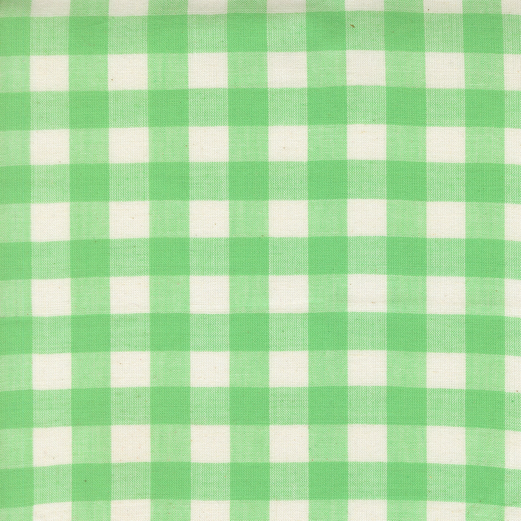 Popcorn Wovens by Elizabeth Hartman - Checks and Plaids Mint 51285 14