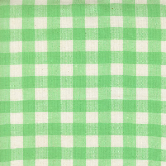 Popcorn Wovens by Elizabeth Hartman - Checks and Plaids Mint 51285 14