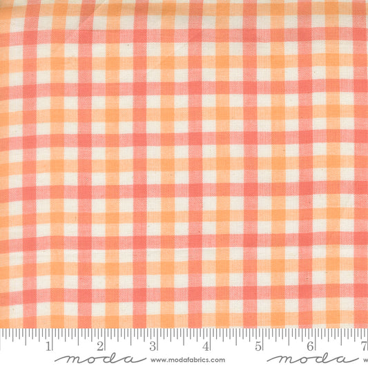 Popcorn Wovens by Elizabeth Hartman - Checks and Plaids Sherbet 51285 22