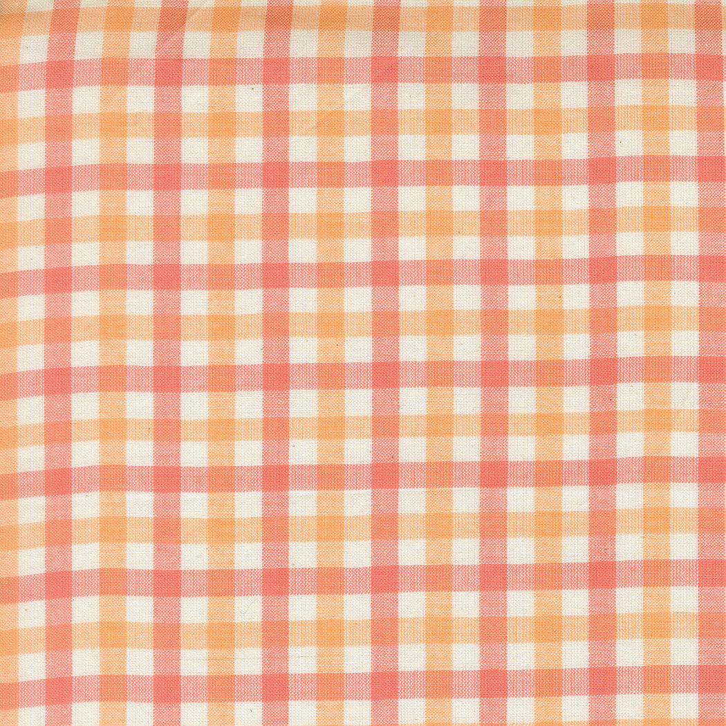 Popcorn Wovens by Elizabeth Hartman - Checks and Plaids Sherbet 51285 22