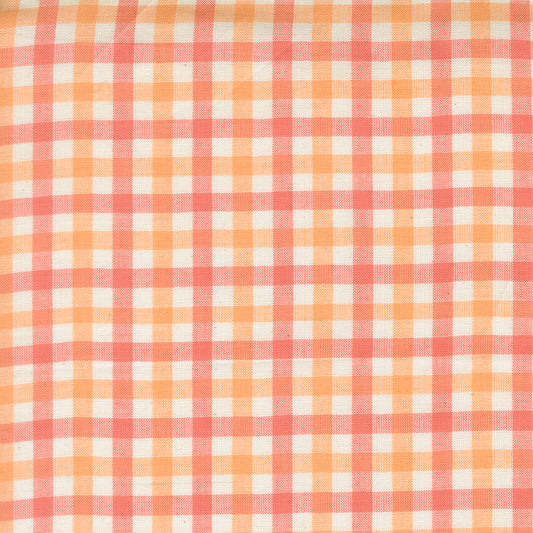Popcorn Wovens by Elizabeth Hartman - Checks and Plaids Sherbet 51285 22