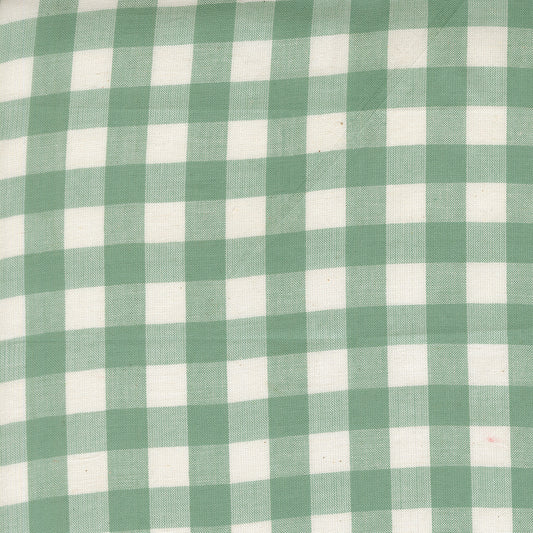 Popcorn Wovens by Elizabeth Hartman - Checks and Plaids Teal 51285 12