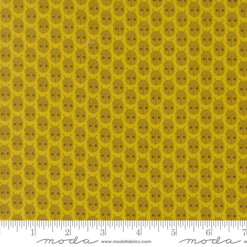 Popcorn by Elizabeth Hartman - Little Bugs Citrine 51280 14