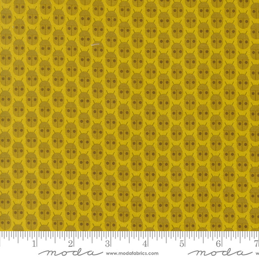 Popcorn by Elizabeth Hartman - Little Bugs Citrine 51280 14