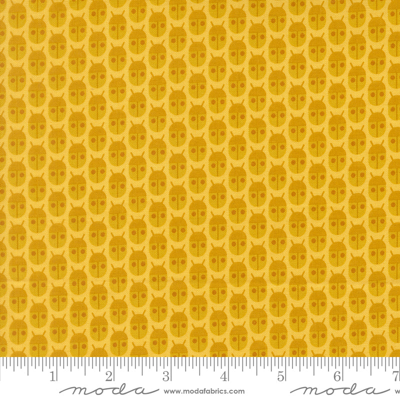 Popcorn by Elizabeth Hartman - Little Bugs Lemon 51280 12