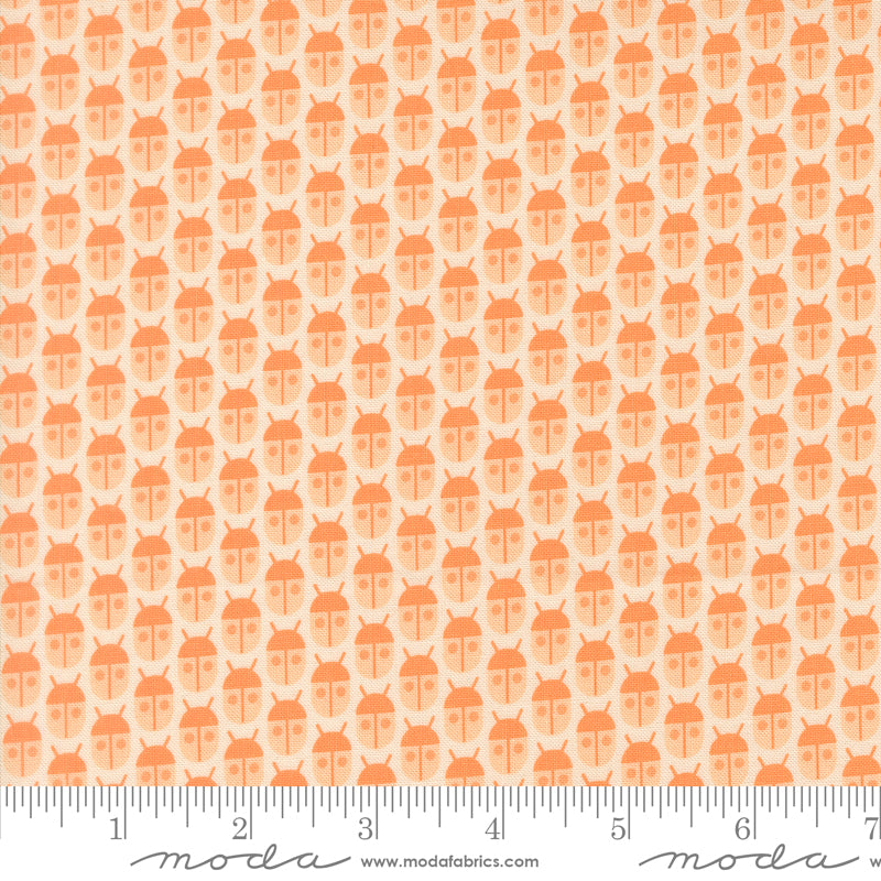 Popcorn by Elizabeth Hartman - Little Bugs Peach 51280 19