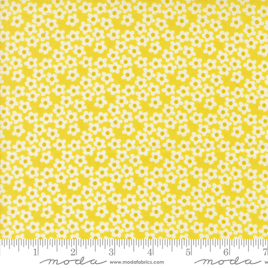 Popcorn by Elizabeth Hartman - Popcorn Flowers Chartreuse 51282 24