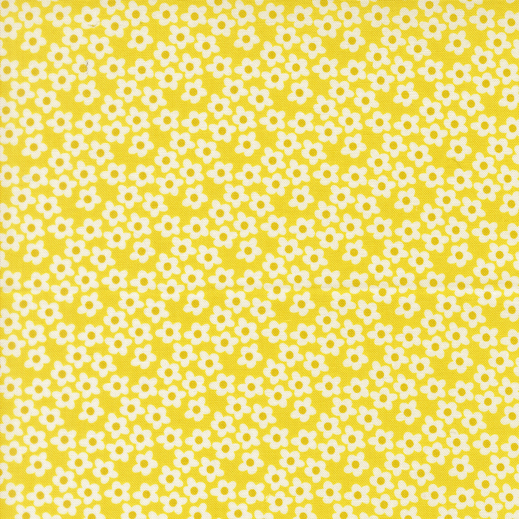 Popcorn by Elizabeth Hartman - Popcorn Flowers Chartreuse 51282 24