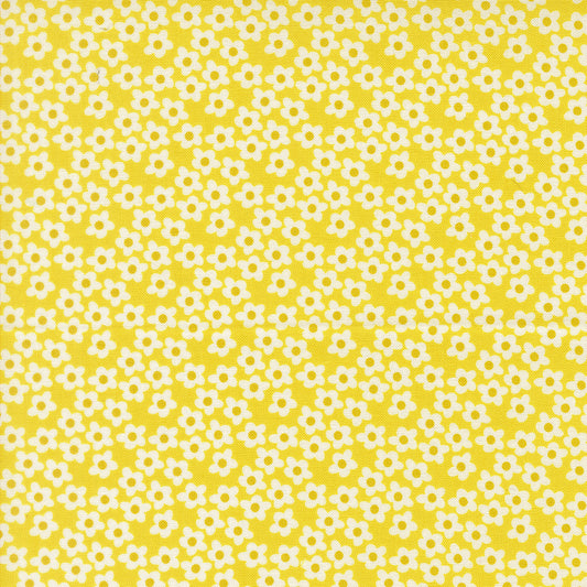 Popcorn by Elizabeth Hartman - Popcorn Flowers Chartreuse 51282 24