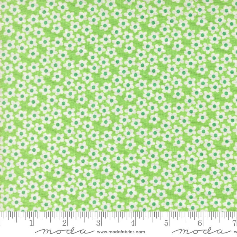 Popcorn by Elizabeth Hartman - Popcorn Flowers Mint 51282 16