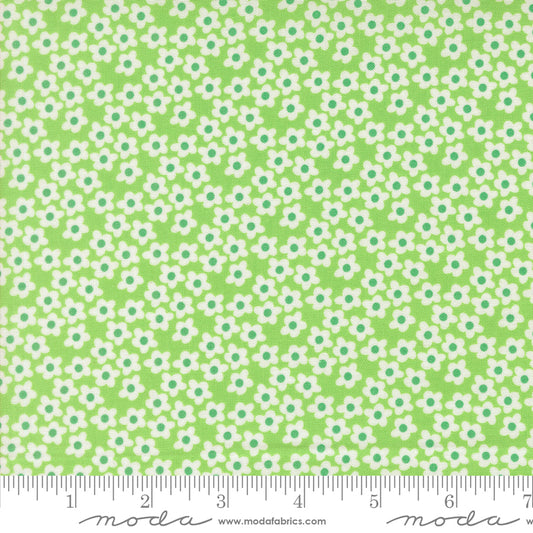 Popcorn by Elizabeth Hartman - Popcorn Flowers Mint 51282 16