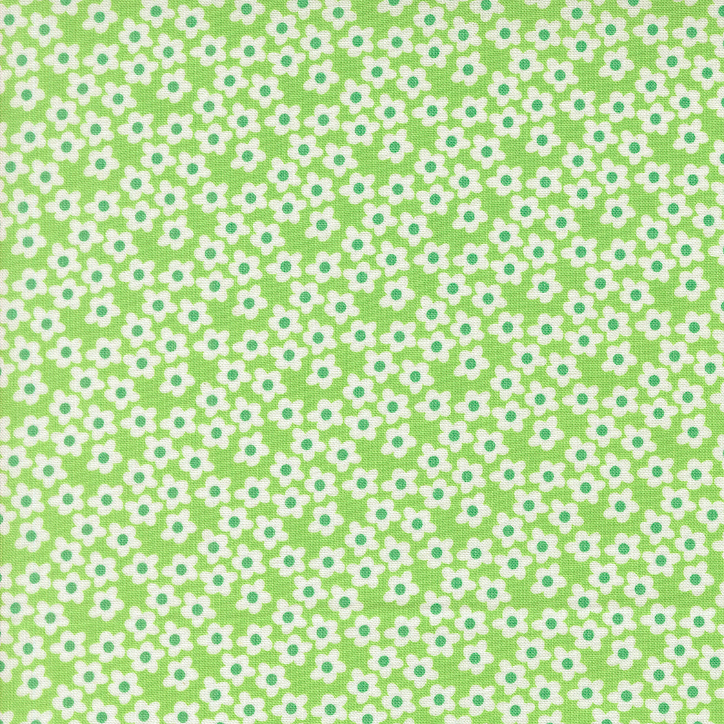 Popcorn by Elizabeth Hartman - Popcorn Flowers Mint 51282 16
