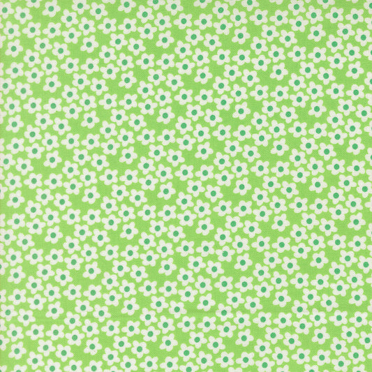 Popcorn by Elizabeth Hartman - Popcorn Flowers Mint 51282 16