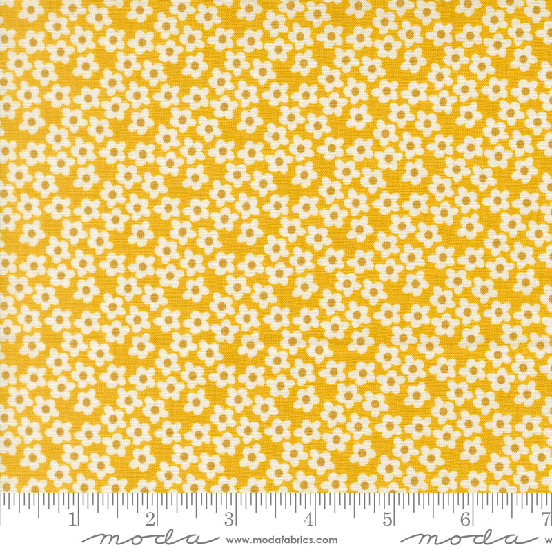 Popcorn by Elizabeth Hartman - Popcorn Flowers Orange 51282 25