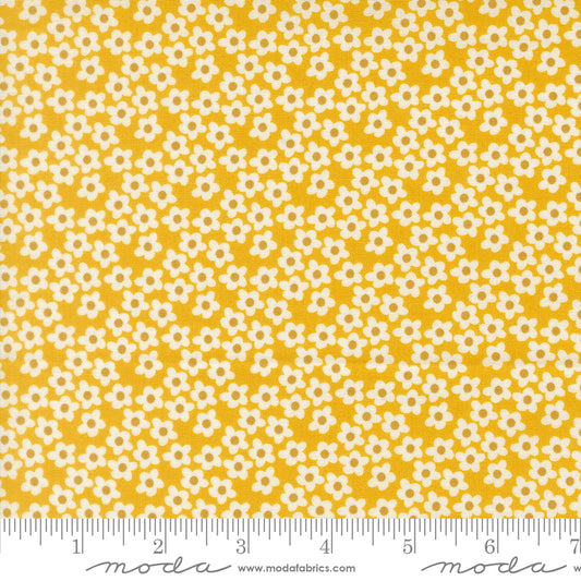 Popcorn by Elizabeth Hartman - Popcorn Flowers Orange 51282 25