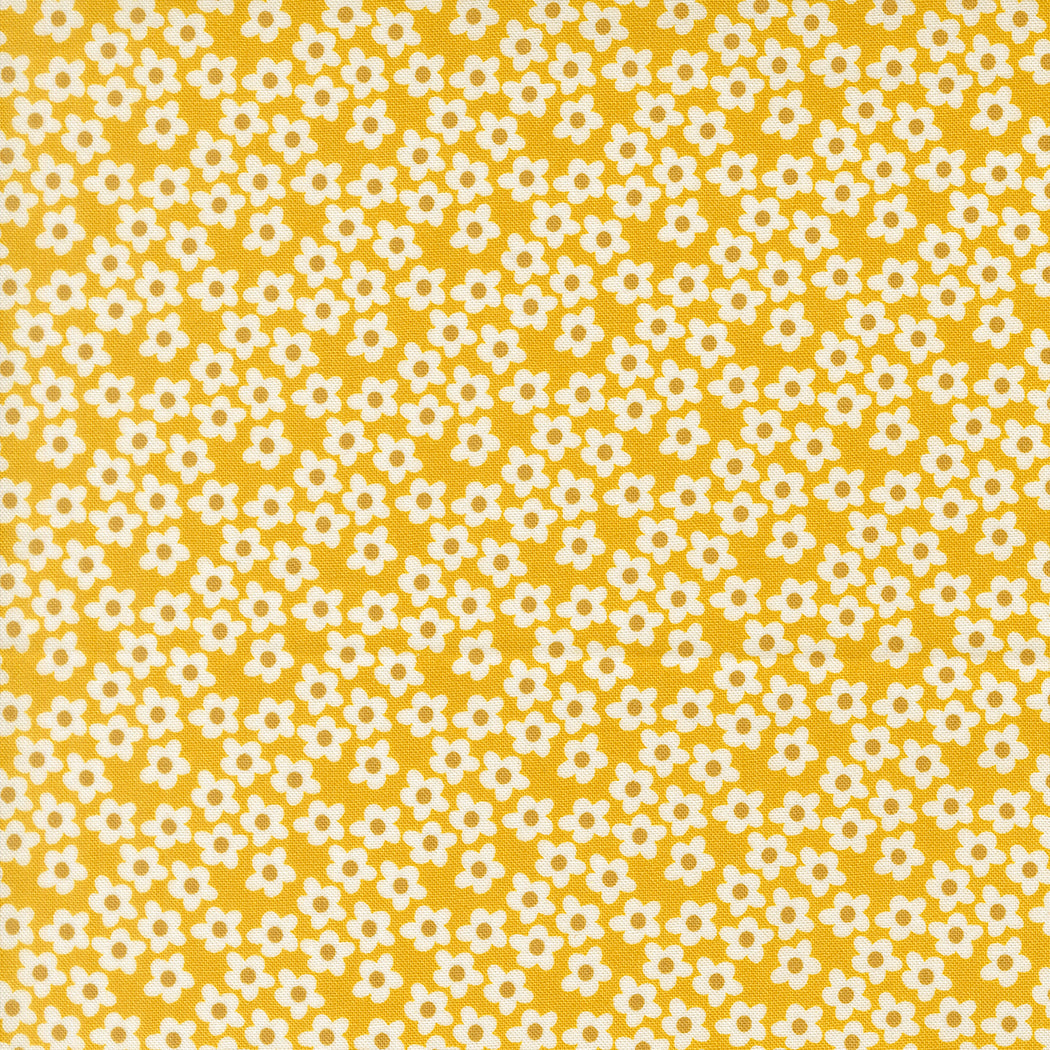 Popcorn by Elizabeth Hartman - Popcorn Flowers Orange 51282 25