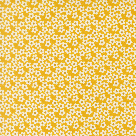 Popcorn by Elizabeth Hartman - Popcorn Flowers Orange 51282 25