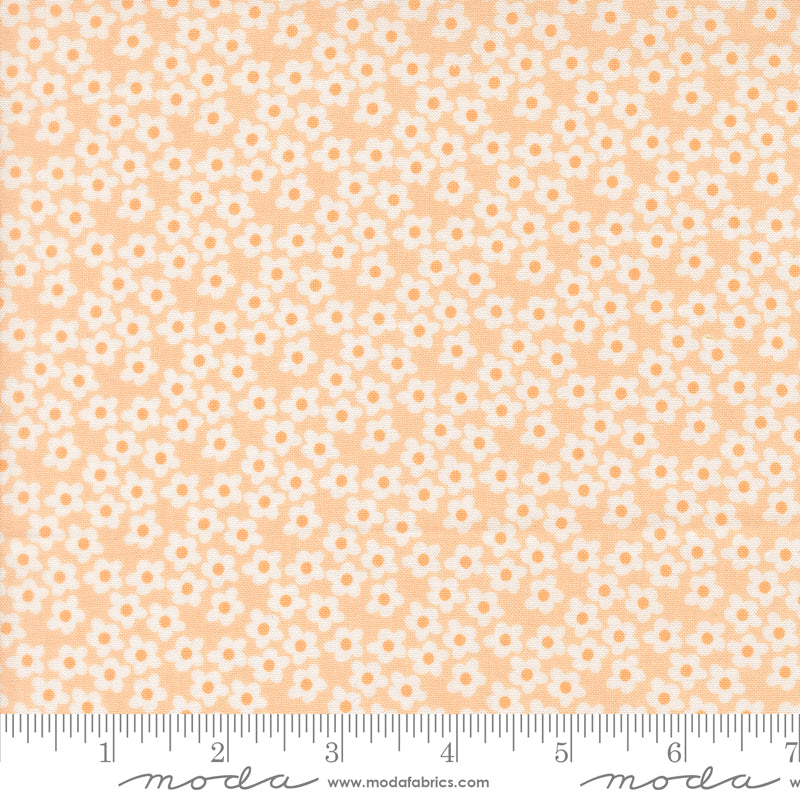 Popcorn by Elizabeth Hartman - Popcorn Flowers Peach 51282 29