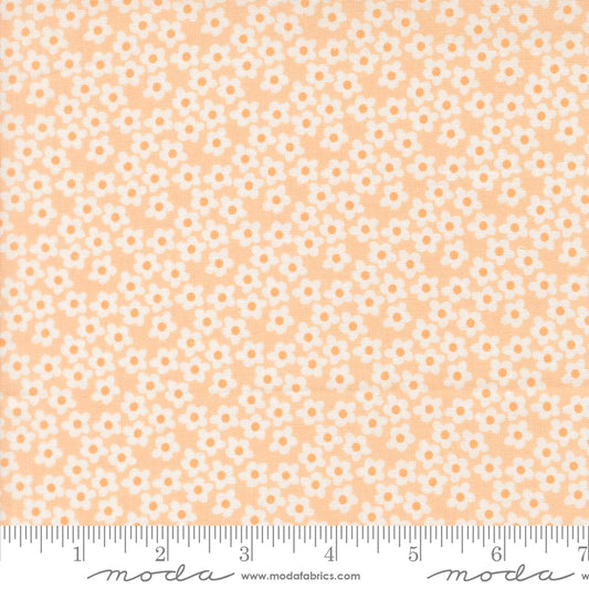 Popcorn by Elizabeth Hartman - Popcorn Flowers Peach 51282 29
