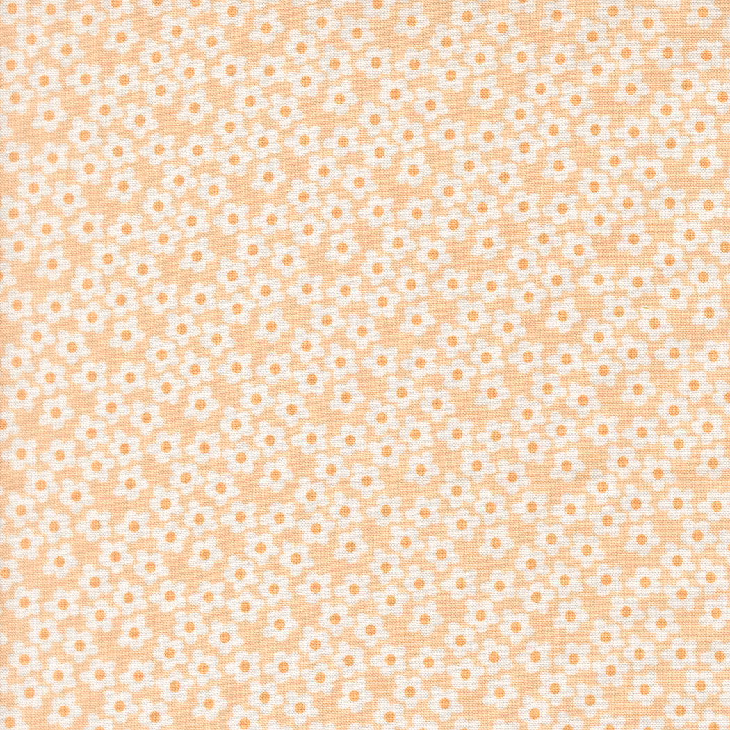 Popcorn by Elizabeth Hartman - Popcorn Flowers Peach 51282 29