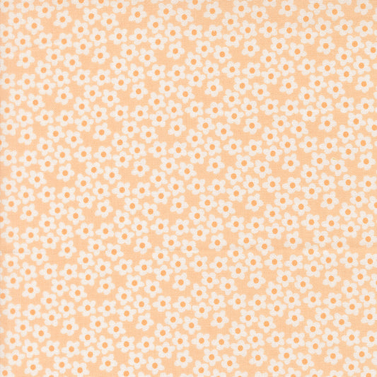 Popcorn by Elizabeth Hartman - Popcorn Flowers Peach 51282 29
