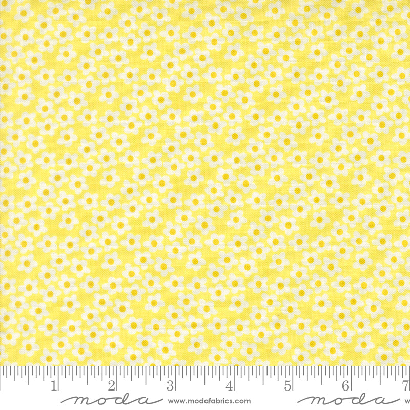 Popcorn by Elizabeth Hartman - Popcorn Flowers Sunshine 51282 22
