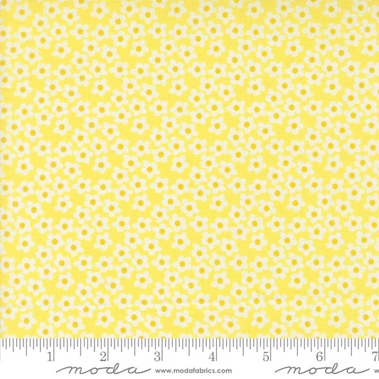 Popcorn by Elizabeth Hartman - Popcorn Flowers Sunshine 51282 22