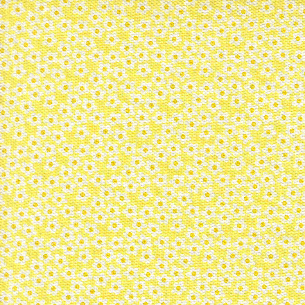 Popcorn by Elizabeth Hartman - Popcorn Flowers Sunshine 51282 22