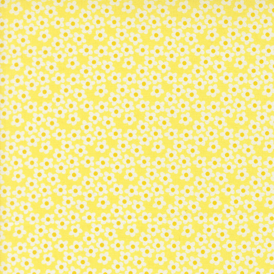 Popcorn by Elizabeth Hartman - Popcorn Flowers Sunshine 51282 22