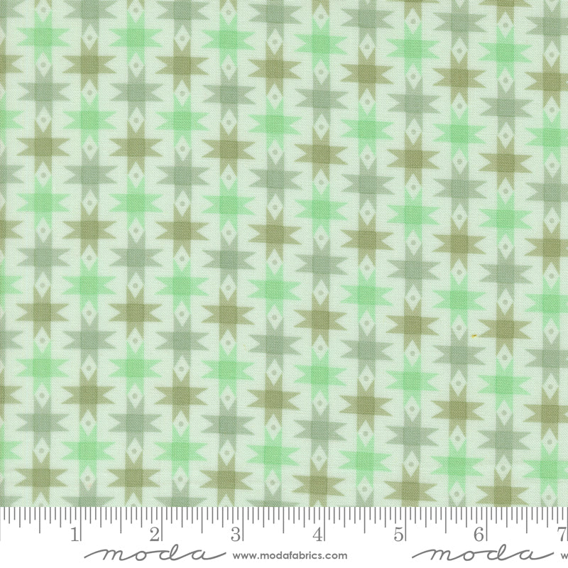 Popcorn by Elizabeth Hartman - Ribbon Stars Aqua 51281 17